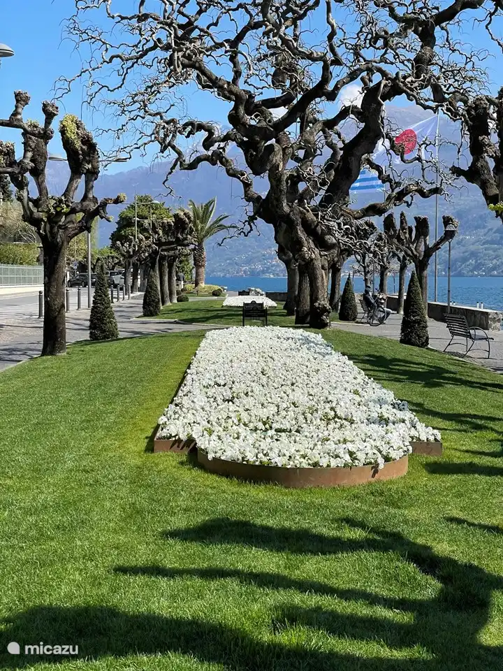 Bulevar junto al lago