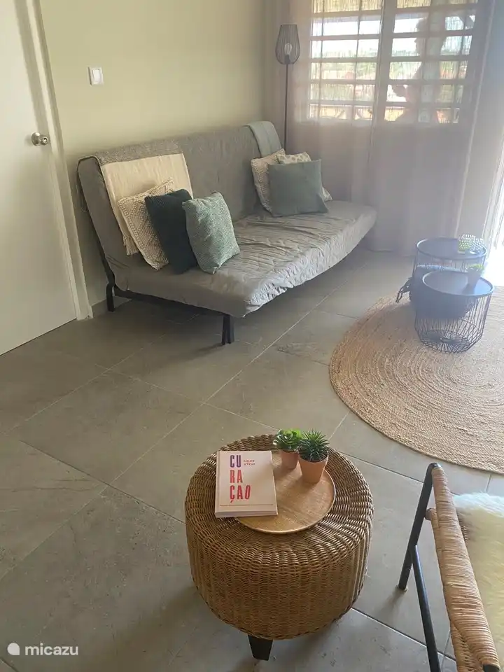 Possibly use the sofa bed.