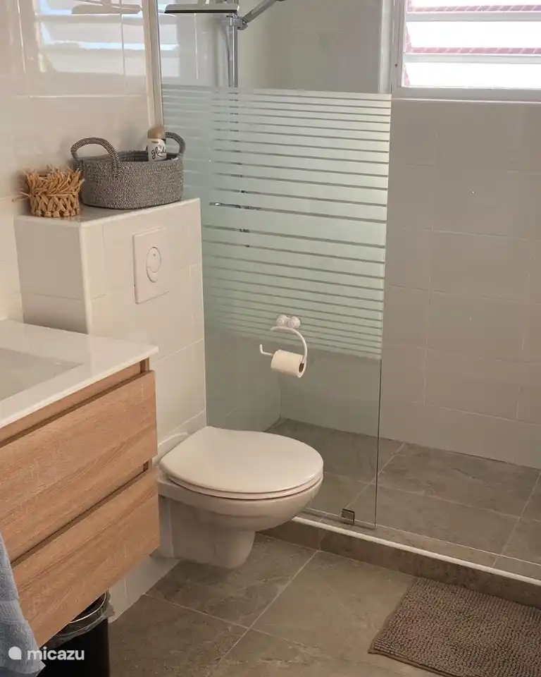 Bathroom with walk-in (rain) shower, toilet and sink with base cabinet and 2 spacious drawers