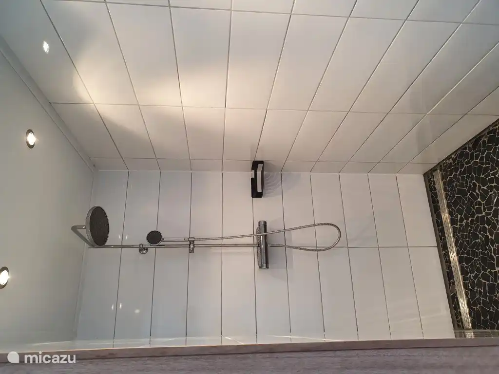 Douche à l'italienne spacieuse