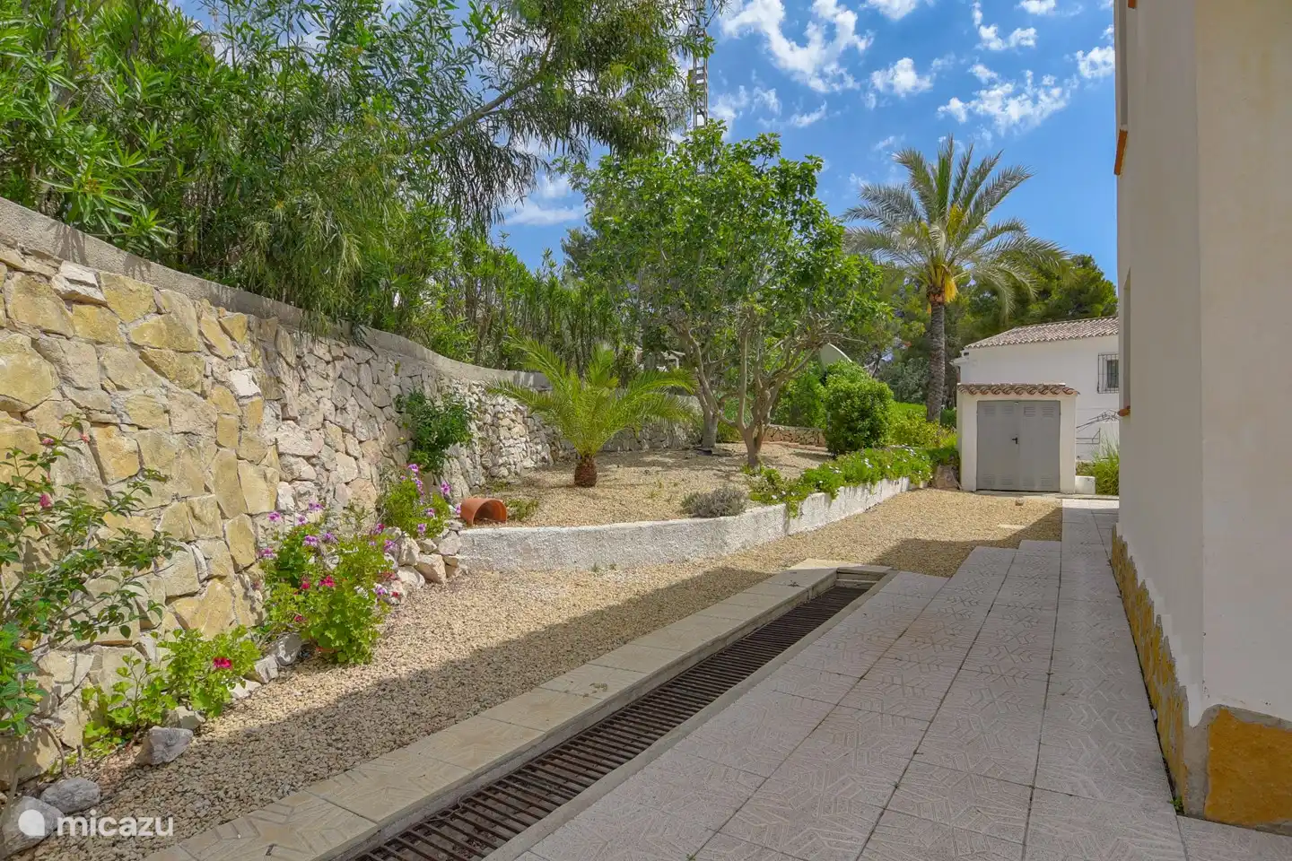 The back of the house where it is wonderfully cool. Here is a beautiful lemon tree.