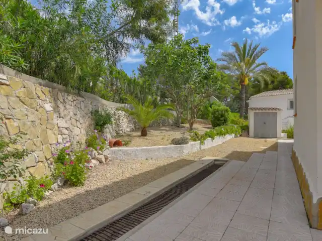 Casa Buenos Tiempos | Espagne, Costa Blanca, Moraira - villa L'arrière de la maison où il fait beau et frais. Voici un beau citronnier.