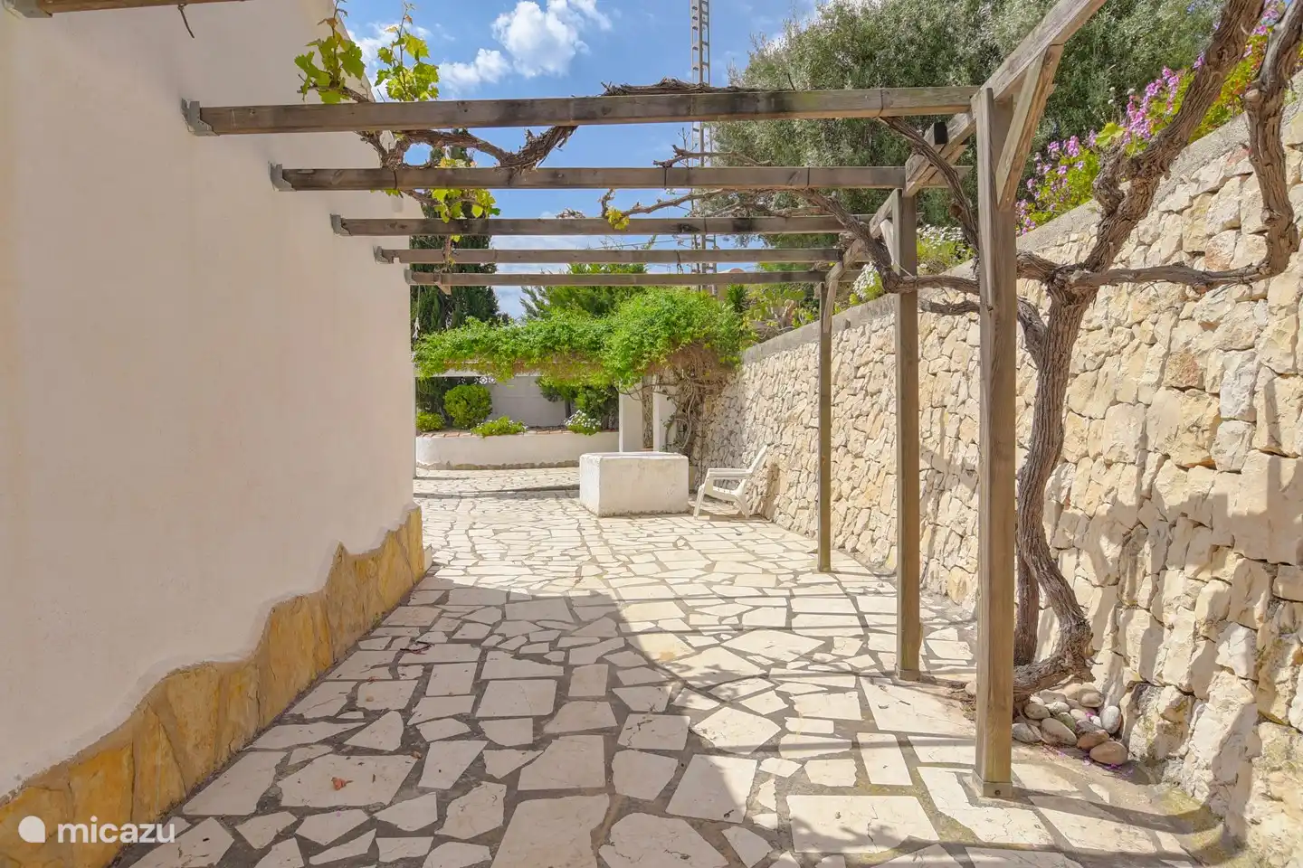 Side of the house where you can sit under the grape bush.