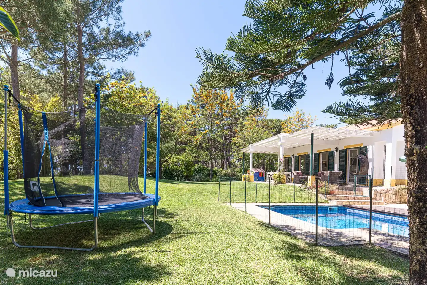 Piscina y trampolín.
