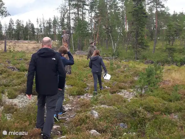 Location de Vacances Suède, Värmland, Nykroppa, maison de vacances - Maison SARAH à plus+service complet Randonnée à travers la nature suédoise. Découvrez l'odeur, le silence et la liberté.