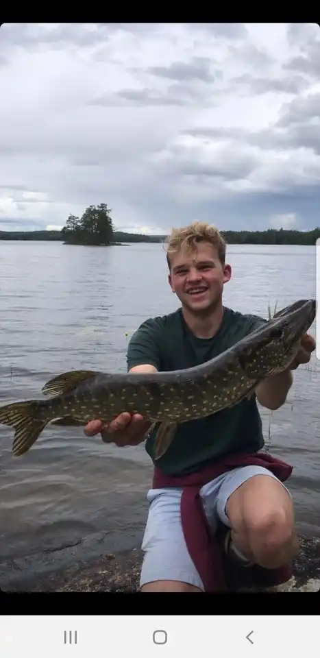 Ein schöner Fisch, der im klaren, sauberen See gefangen wurde.