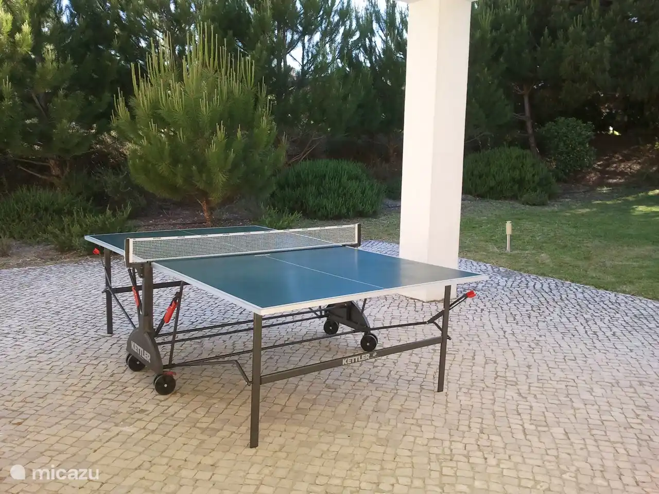 Tischtennis Tisch