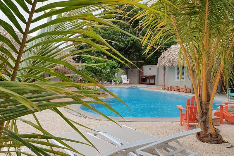 Vakantiehuis Curaçao, Curacao-Midden, Julianadorp Appartement Casa Contento 36 tuin-zijde
