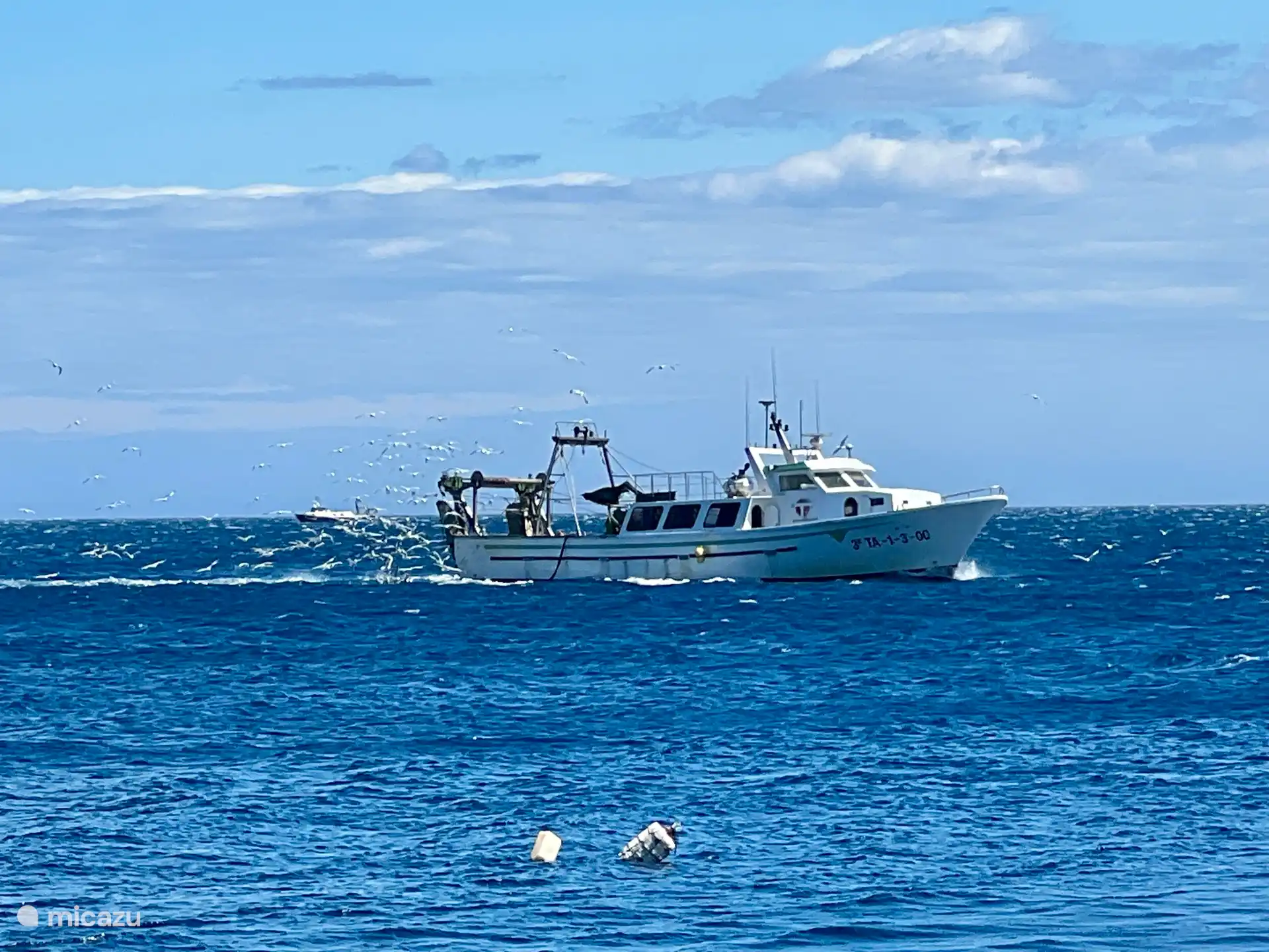 Der frische Fisch kommt 