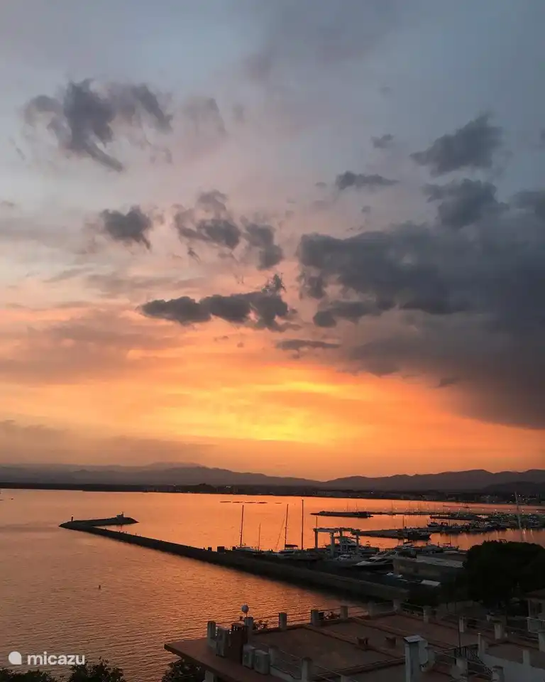 Jeden Tag ein anderer Film