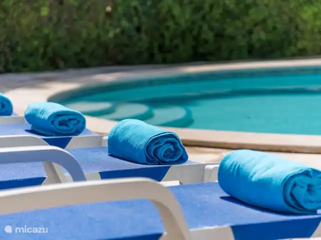 Villa Amalia | Portugal, Setúbal, Grandola - villa chaises longues