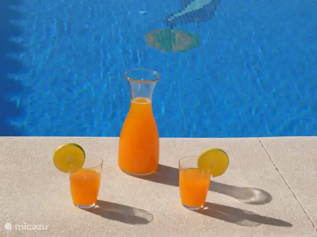 villa en España, Costa del Sol, Comares – villa el deseo Pero primero un aperitivo junto a la piscina.