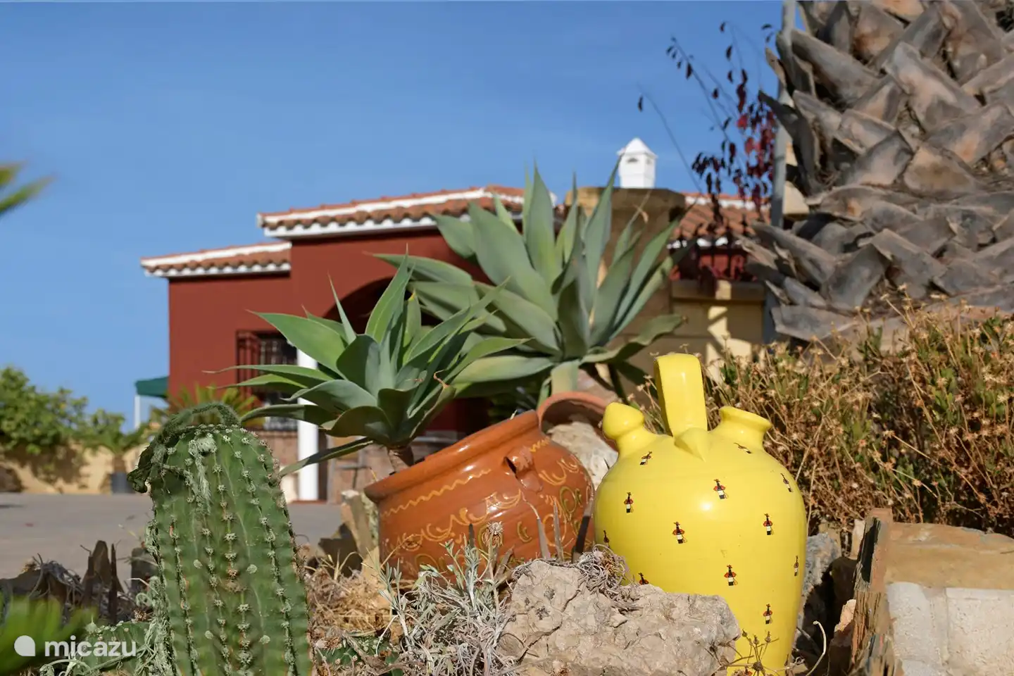 Witness to the warm climate in this part of Andalusia.