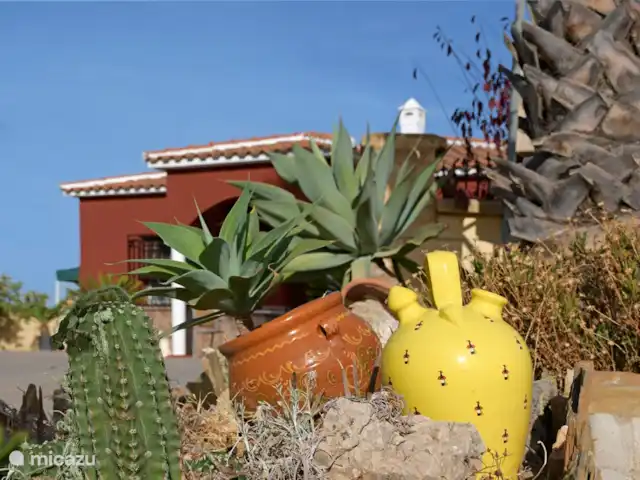 villa en España, Costa del Sol, Comares – villa el deseo Testimonio del clima cálido de esta parte de Andalucía.