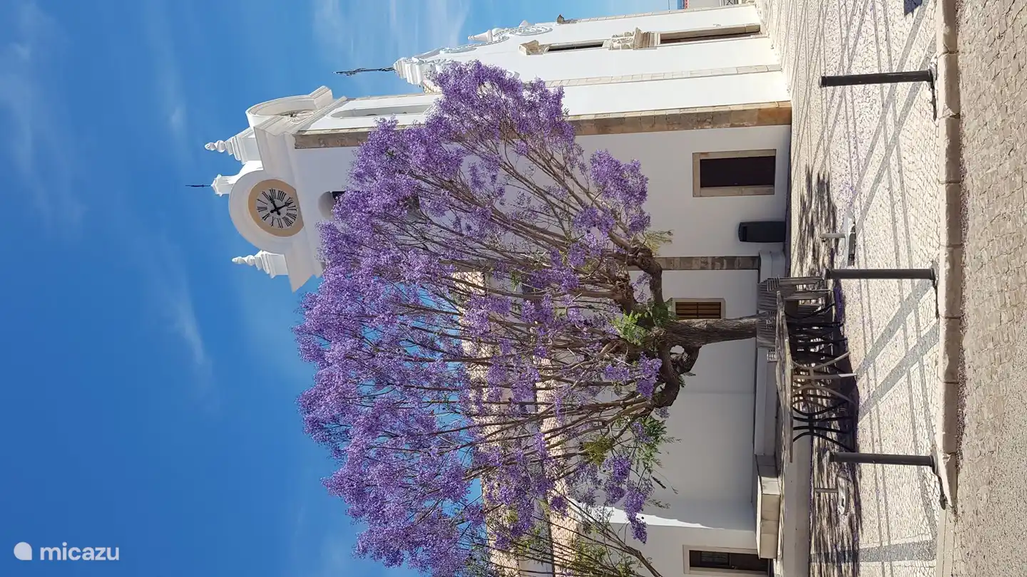 Das Zentrum von Boliqueime.