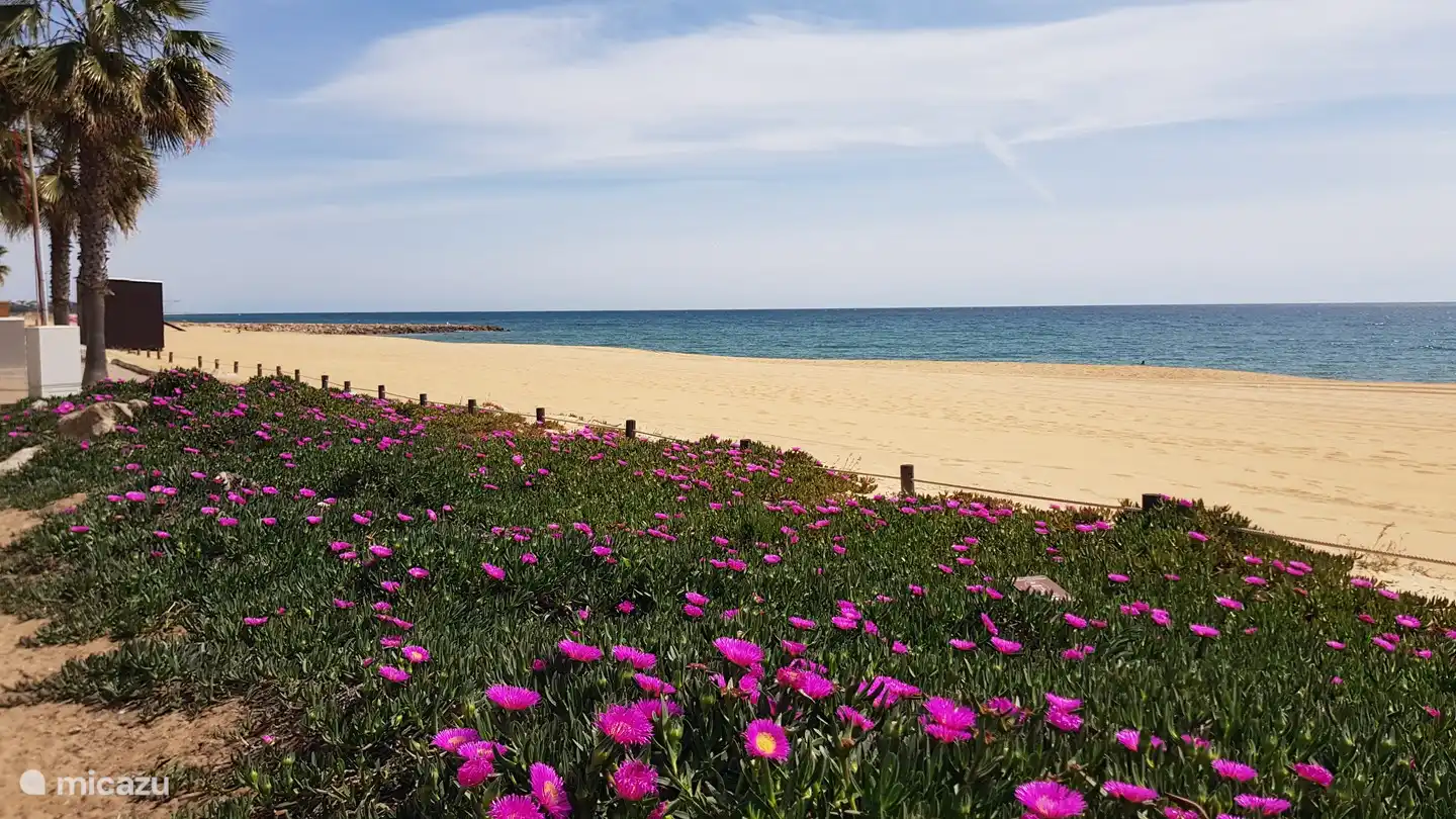 Der Strand von Quarteira mit einem Boulevard, auf dem Sie sich entspannen können.