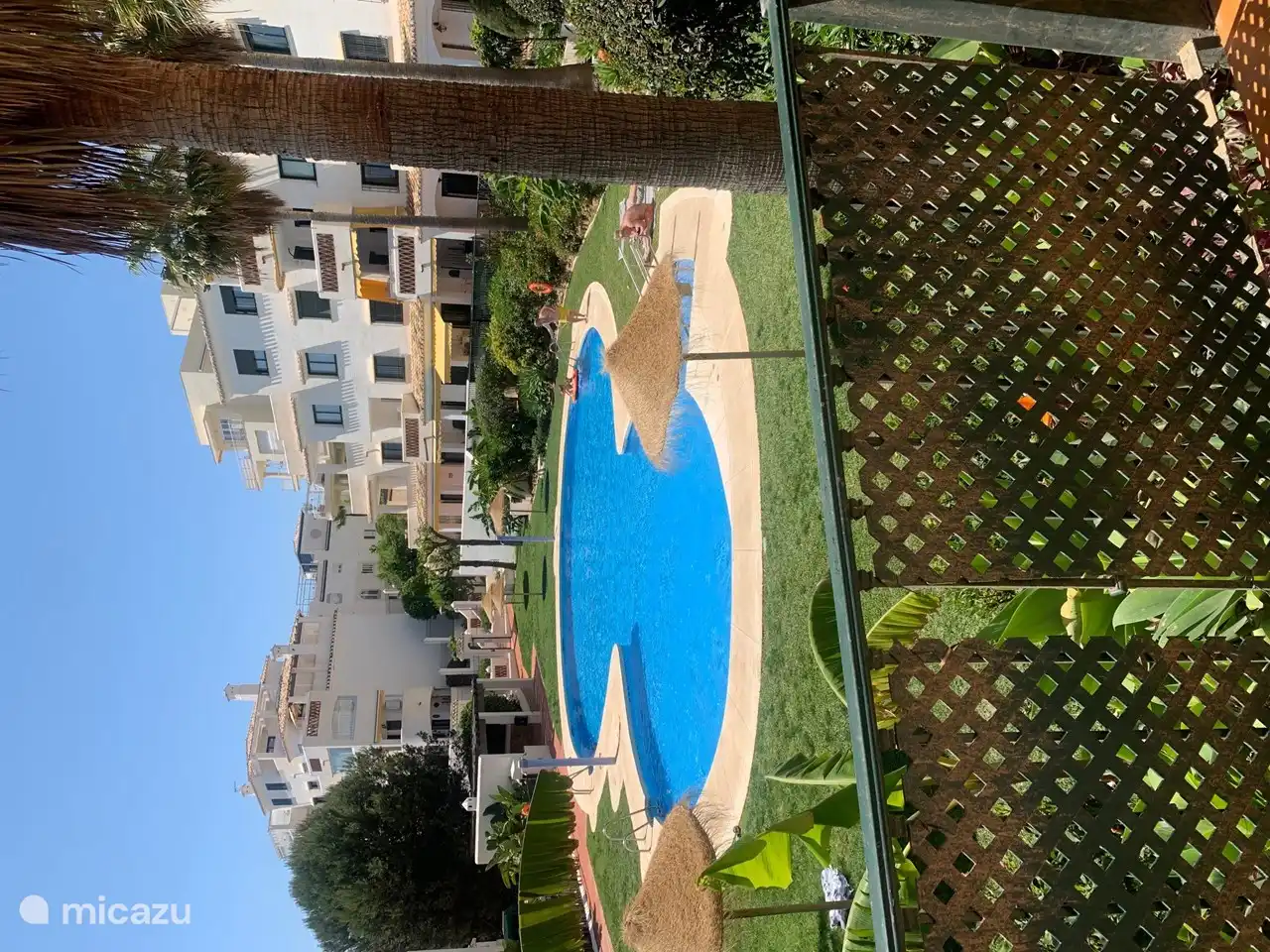 Blick von der Terrasse auf den Pool