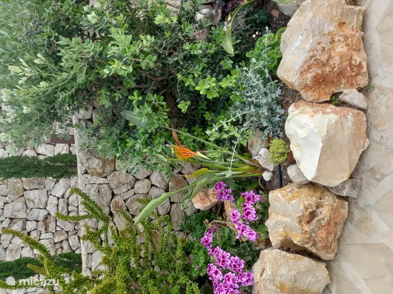Auf der Terrasse stehen Blumenkästen mit blühenden Pflanzen