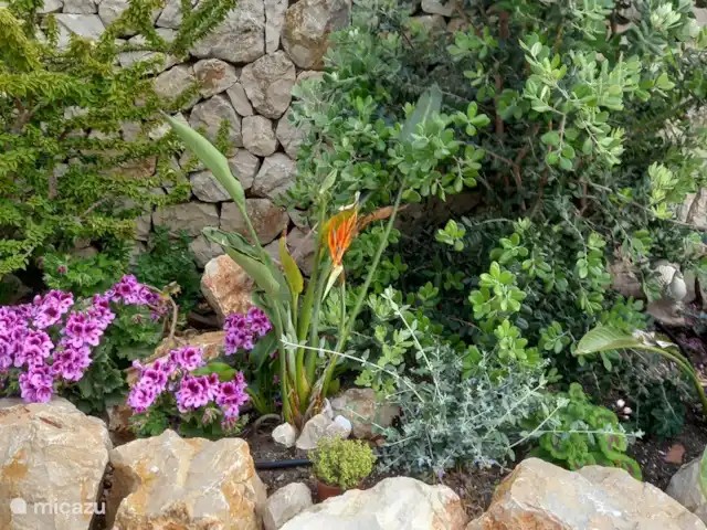 Casa Oleandra en España, Costa Blanca, Moraira - villa Hay jardineras con plantas con flores en la terraza.