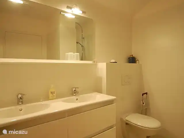 Vakantievilla Fleur de Lys huren in Frankrijk, Charente, Rouzède - villa badkamer 3 (torenkamer) met met douche, toilet en dubbele wastafel