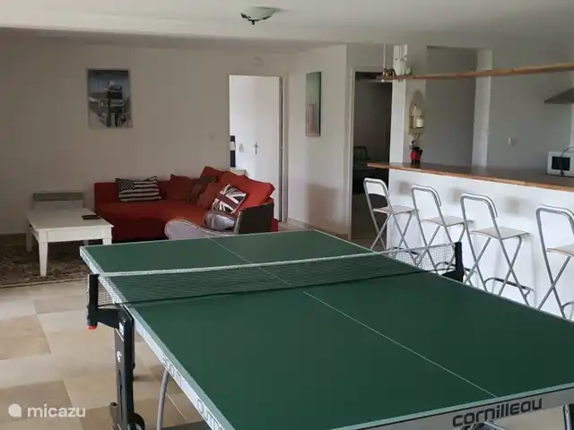 Vakantievilla Fleur de Lys huren in Frankrijk, Charente, Rouzède - villa relax woonkamer 2 met grote televisie, loungehoek, tafeltennis en bar met ingerichte keuken (benedenverdieping)