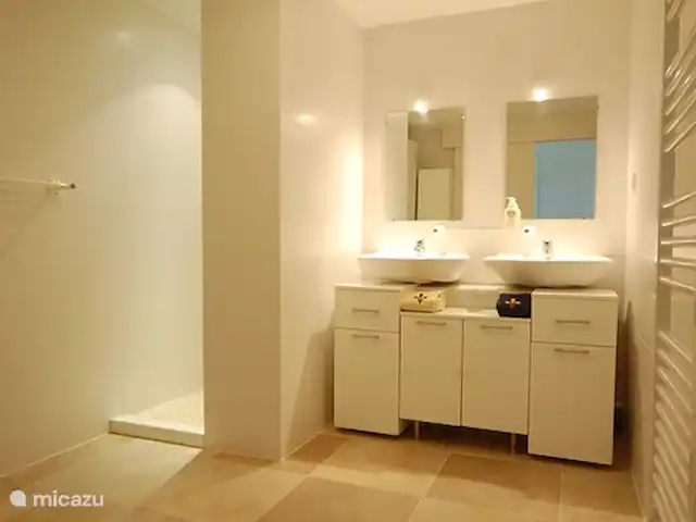 Vakantievilla Fleur de Lys huren in Frankrijk, Charente, Rouzède - villa badkamer 4 (benedenverdieping) met dubbele wastafel, douche, handdoekradiator en apart toilet