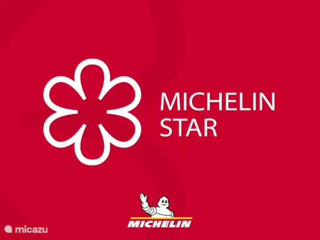 Vakantievilla Fleur de Lys huren in Frankrijk, Charente, Rouzède - villa in de omgeving zijn 2 michelin-ster restaurants: het toegankelijke Le Moulin de Tardoire te Montbron en Chateau Domaine des Etangs te Massignac.
