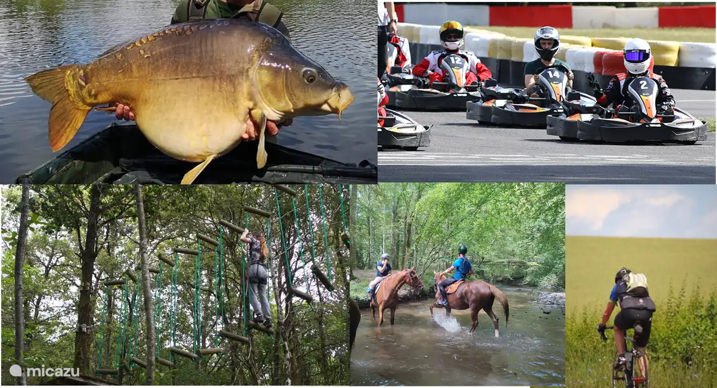 Beispiele für Aktivitäten in der Umgebung
