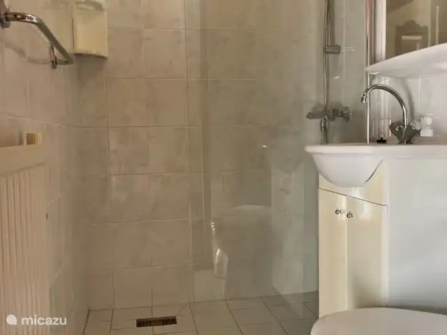 Maison de plain-pied 48 | Pays-Bas, Drenthe, Exloo - bungalow Salle de bain avec douche et toilette.