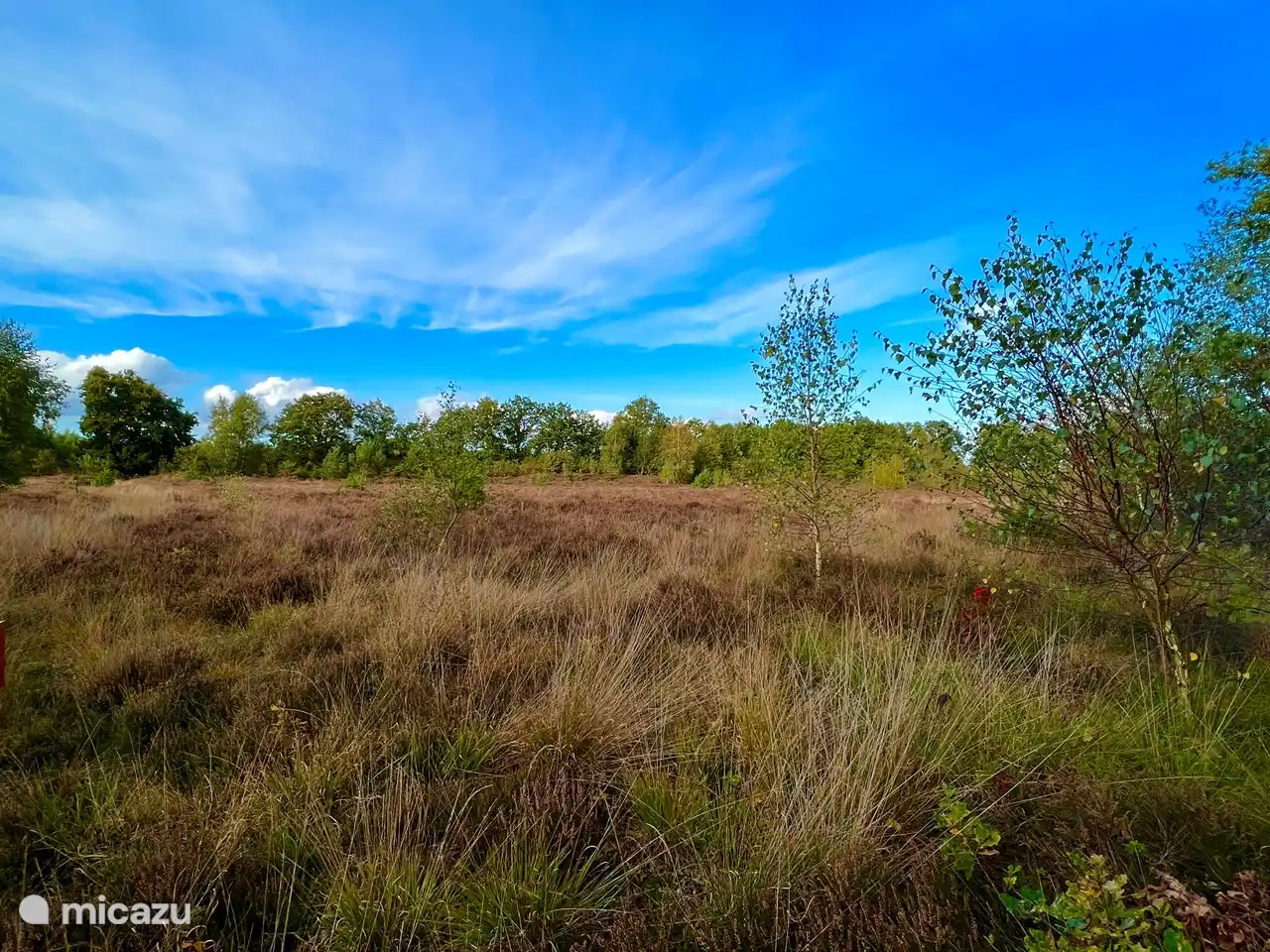 Beautiful view over the heath 1 km away