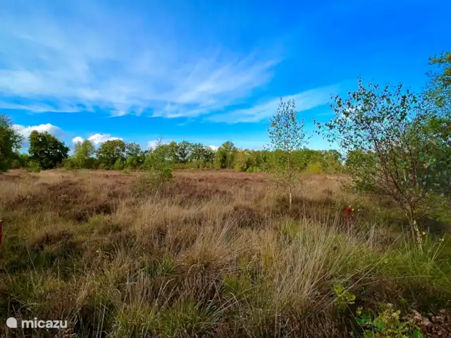 Maison de plain-pied 48 | Pays-Bas, Drenthe, Exloo - bungalow Belle vue sur la lande à 1 km