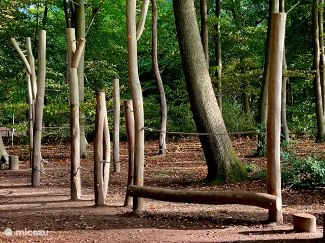 Maison de plain-pied 48 | Pays-Bas, Drenthe, Exloo - bungalow Équipement de jeu pour les enfants dans les bois.
