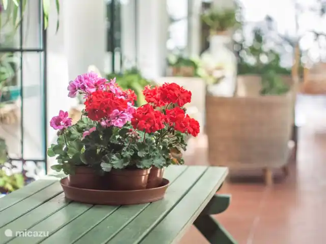 Villa Louise huren in Portugal, Lissabon Kust, Charneca da Caparica - villa Decoratie