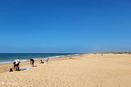beaches of Vejer