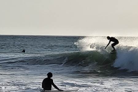 surf des vagues