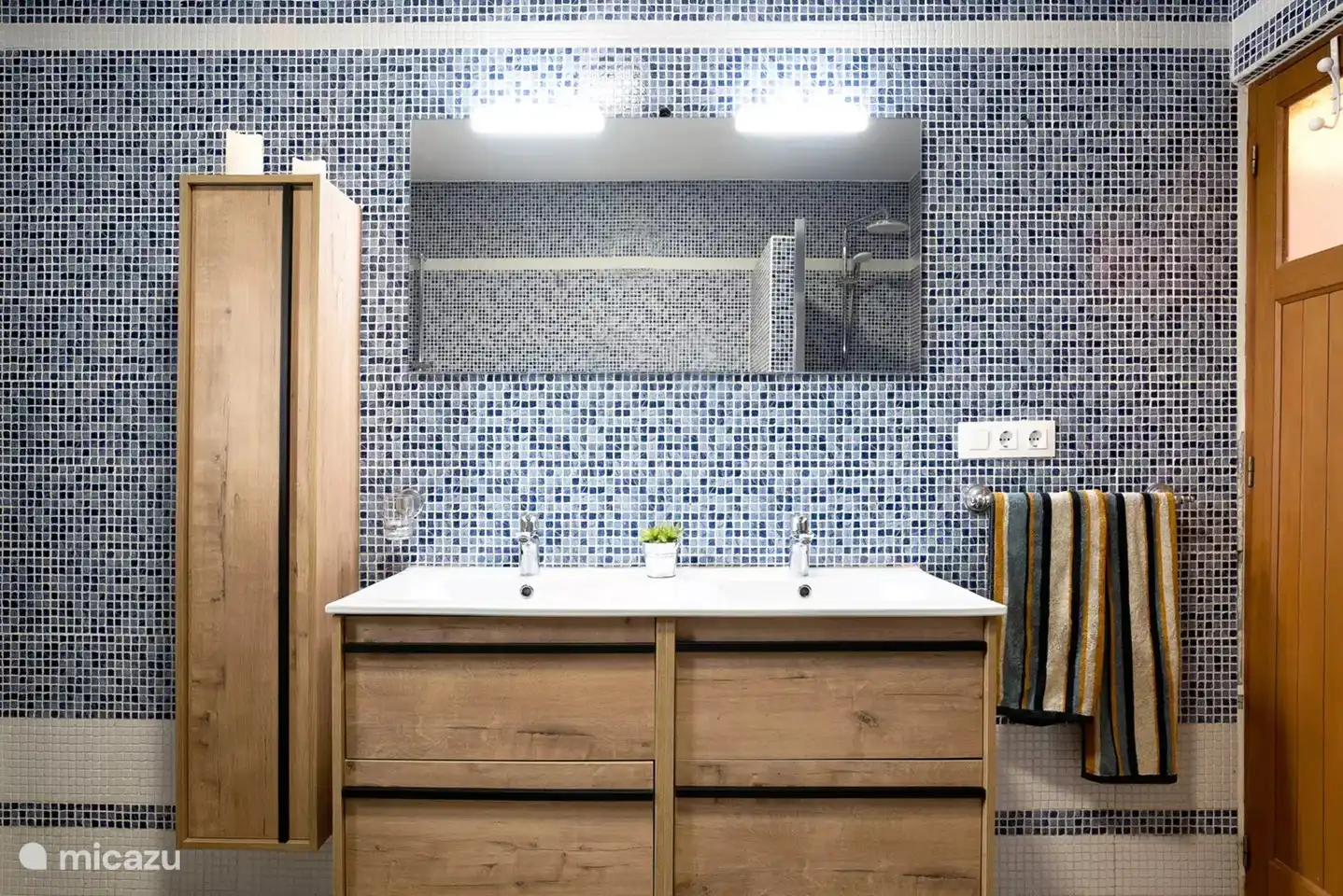 salle de bain avec douche, baignoire, double vasque