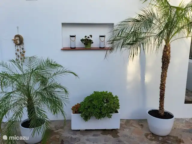 Villa LaLuna 'LaCasa' | Espagne, Andalousie, Vejer de la Frontera - finca