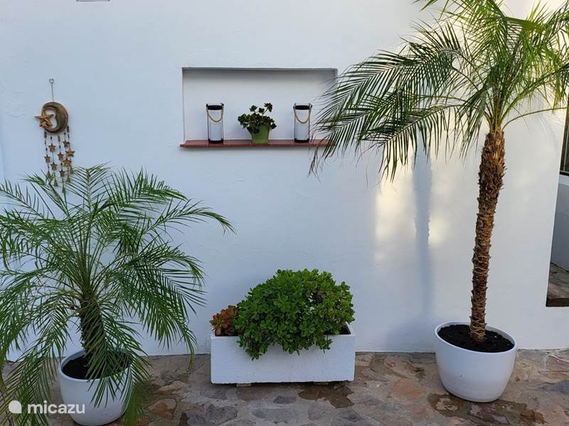Holiday home in Spain, Andalusia, Vejer de la Frontera Finca Villa LaLuna 'LaCasa'
