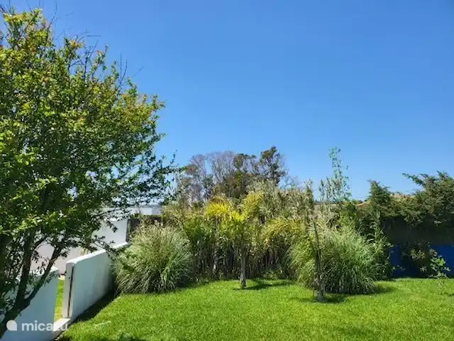 Villa LaLuna 'LaCasa' | Espagne, Andalousie, Vejer de la Frontera - finca