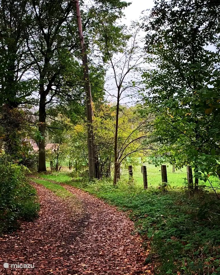 Wandelen in de buurt