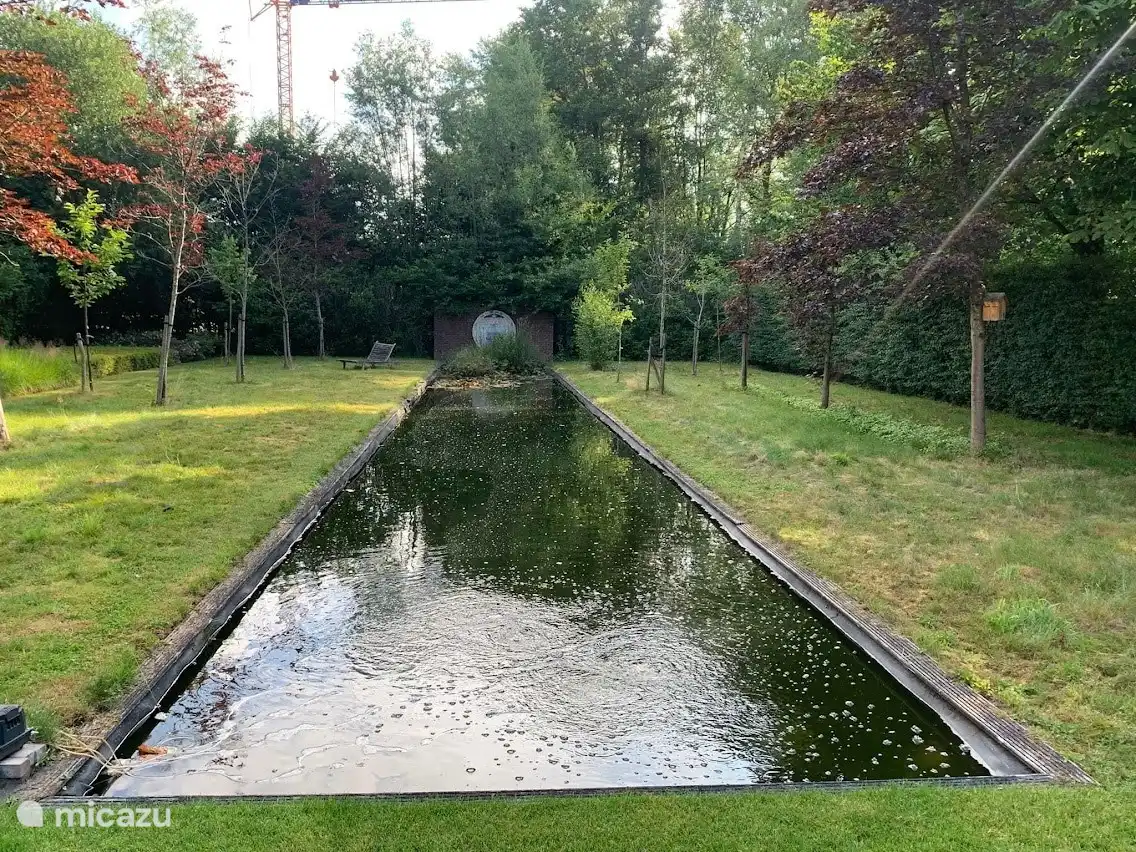 Wandelen in de buurt