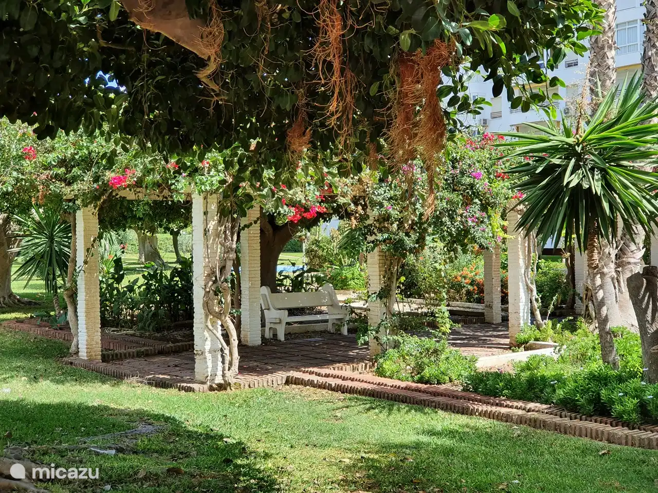 Garten am Strand von Laguna