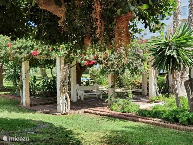 Location de Vacances Espagne, Costa del Sol, Torrox-Costa, appartement - Casa Alegria Jardin à la plage de Laguna