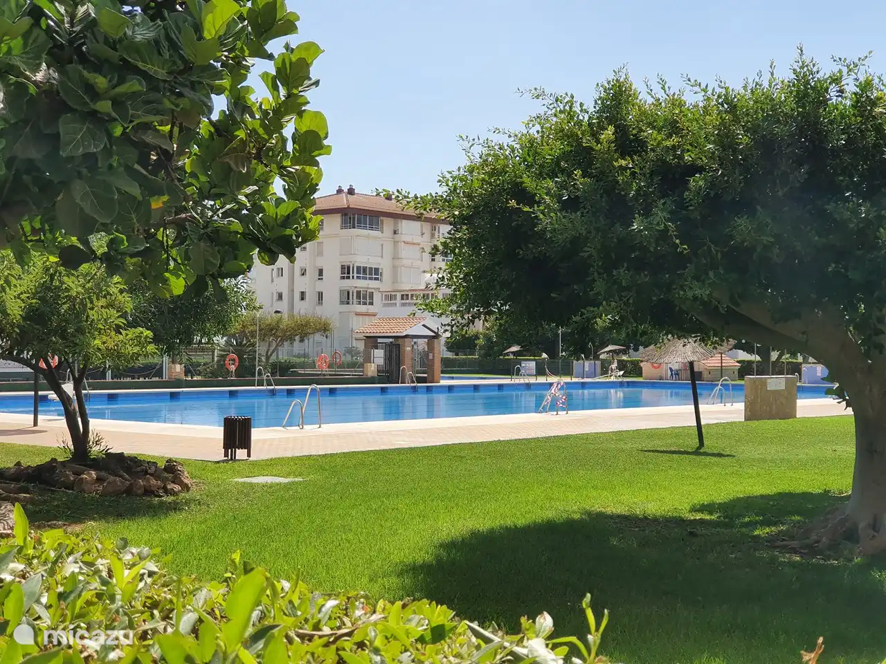 Olympisches Schwimmbecken