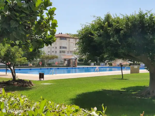 Location de Vacances Espagne, Costa del Sol, Torrox-Costa, appartement - Casa Alegria piscine olympique