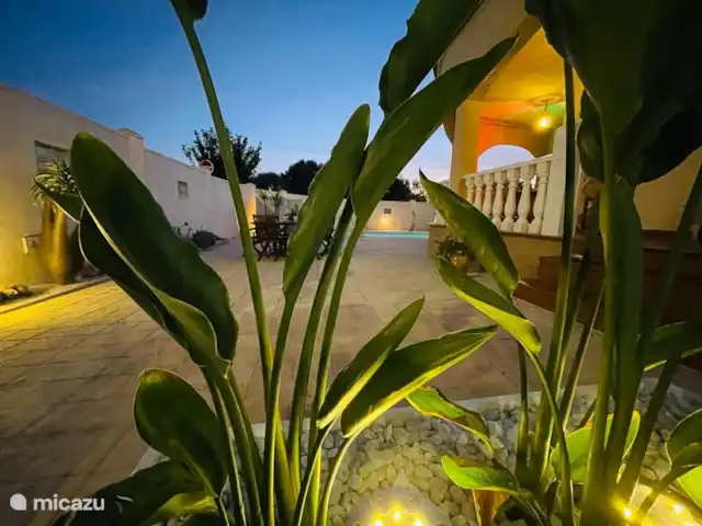 Villa Luna en La Marina en España, Costa Blanca, La Marina - villa esfera