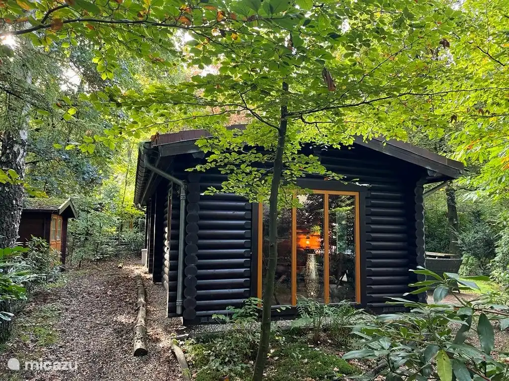 chalet en Países Bajos – El tronco del árbol