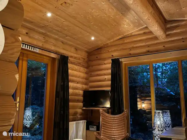 Location de Vacances Pays-Bas, Gueldre, Ermelo, chalet - Le tronc d'arbre Coin salon avec télévision et système de musique