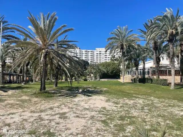 apartamento en España, Costa Blanca, Villajoyosa – Apartamento Caleta Playa