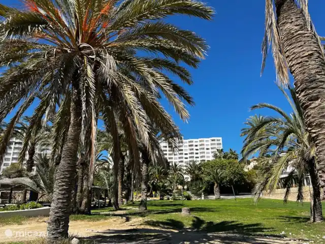 apartamento en España, Costa Blanca, Villajoyosa – Apartamento Caleta Playa